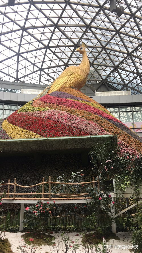 公园里有什么好玩的呢？