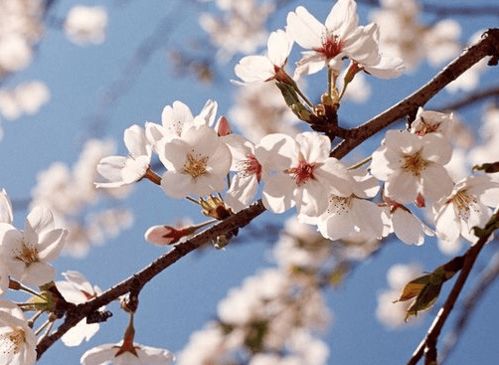 剥衣催产式（手残党福音）