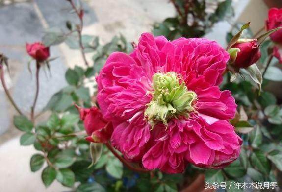 防范与解决方法