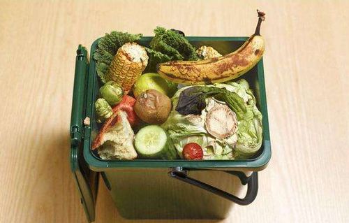 厨余垃圾中米饭如何转化为有机肥料