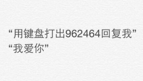 数字与花朵的奇妙搭配