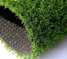 草坪草的“小心思”