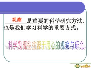 科学养护，细心观察