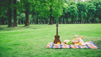 特色元素大揭秘