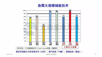 配合饲料有哪些显著优点和潜在缺点？其应用前景如何？