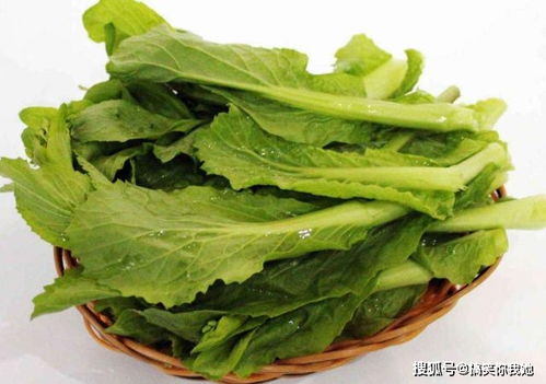 小满时节最适合种植的家常蔬菜