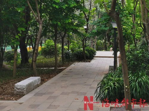 门口种什么植物？让家门口瞬间变美
