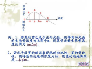 九二零的生理效应