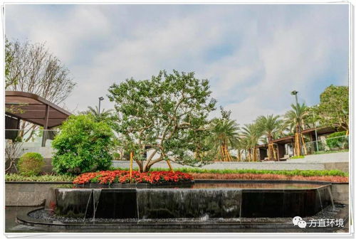 树木配置：像种菜一样种树