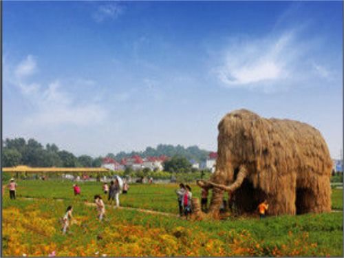 大余黄龙花木园，隐匿于何处