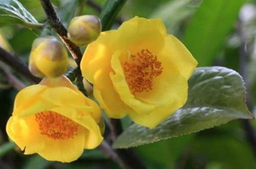 新手常犯的致命错误