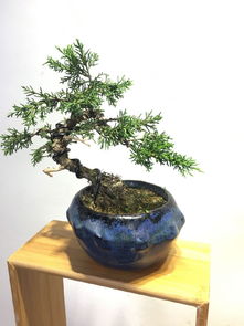 染后你得堪堪你家的环境