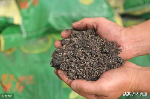茄子种植时使用什么复合肥料或有机肥料效果更佳