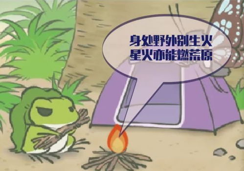 如何正确饲养青蛙，才能确保它们健康成长并适应家庭环境呢