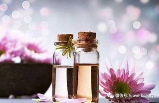 花卉香气的魅力