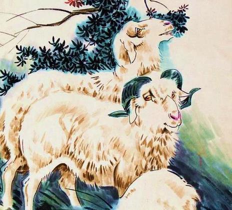 第四步：施肥要适量， 摇钱草才嫩长得旺