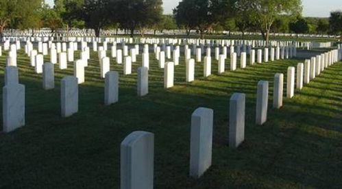 律法红线与植物禁忌