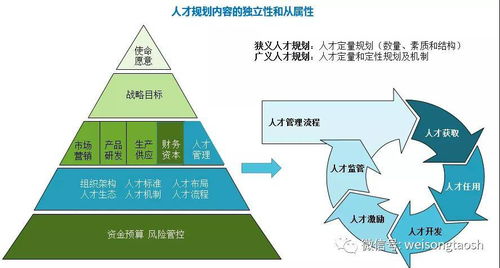 打造高效油茶林地：精准规划与精细整理的秘诀！