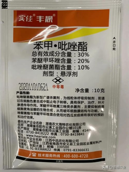 宗富水果种植基地的防治经验分享