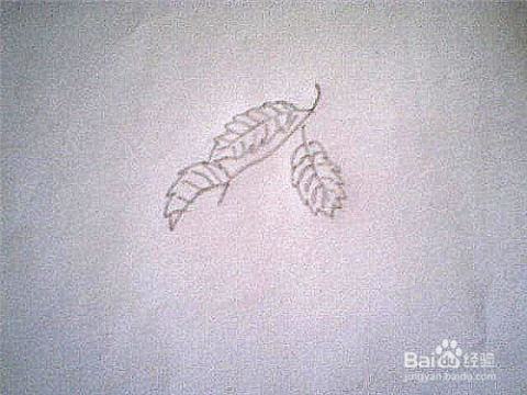 第二步：画出叶子的大致形状