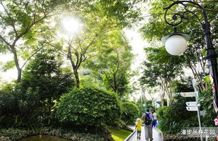 装配式绿化：城市空间的新生