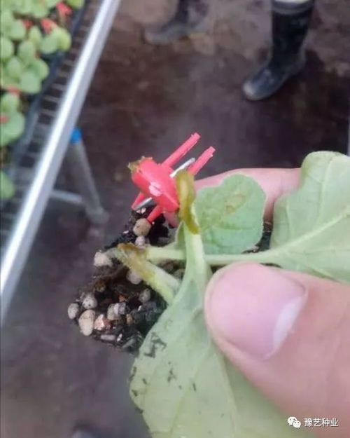 二、 避哪些坑嫩省200元