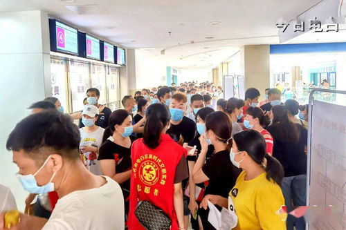 民猪免疫新策略：结合地域特点