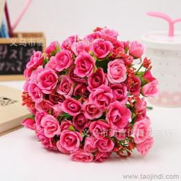 玫瑰花， 花中的佳人