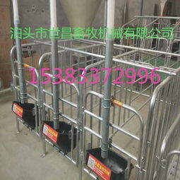 母猪限位栏限制运动，易致关节损伤及心理压力