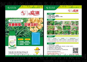 生姜地除草剂大盘点：姜田除草的神秘法则