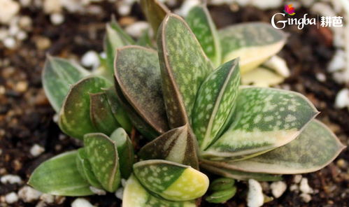 通风透气不可少