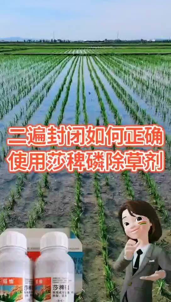 颗粒封闭除草剂在水稻田封闭除草效果如何？
