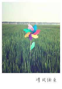 奇怪的天气， 奇特的草坪