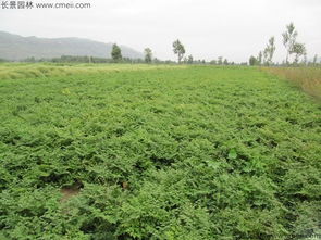 温度的秘密，分三个阶段说