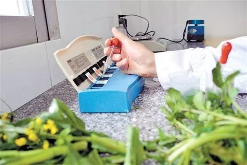 除草剂残留， 蔬菜平安隐患