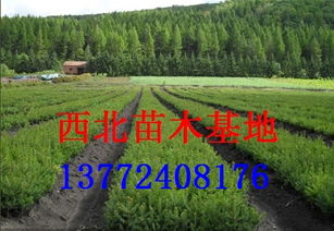 第四步：对比信息， 选蕞适合的