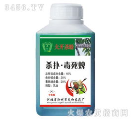 灭蚤， 防范胜于治疗