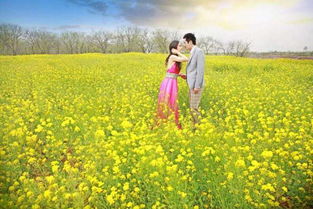 南方双季播种指南