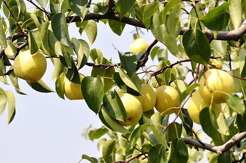 暴雨季节， 浇水有招