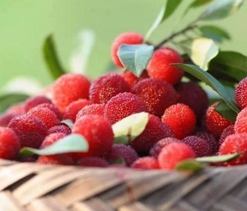 三年等不来后来啊？