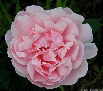 适合种植的气候条件