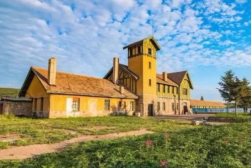 盛夏的绿荫庇护