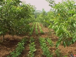 利润率有多少？