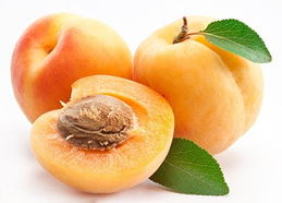 暴力破壳，小心胚芽