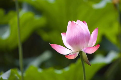 农家美食， 让人回味无穷
