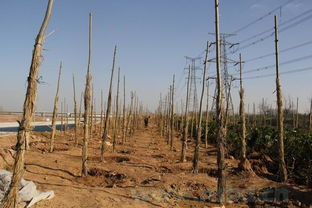 第一章节：水分管理——不让水分跑了