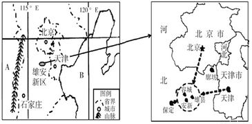 第三章：不同生长阶段的浇水技巧