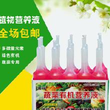 花卉营养液的奥秘大揭秘