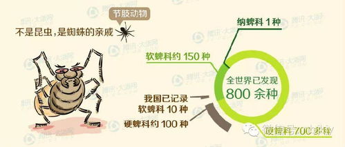 蔬菜上的高氯甲维盐使用攻略