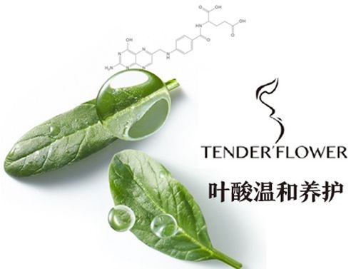 海藻球如何养护？日常护理有哪些要点